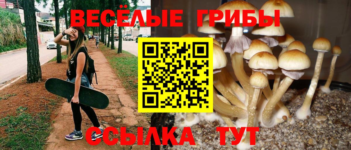 Каменск-Шахтинский  Галлюциногенные грибы мухоморы  Вход с VPN 